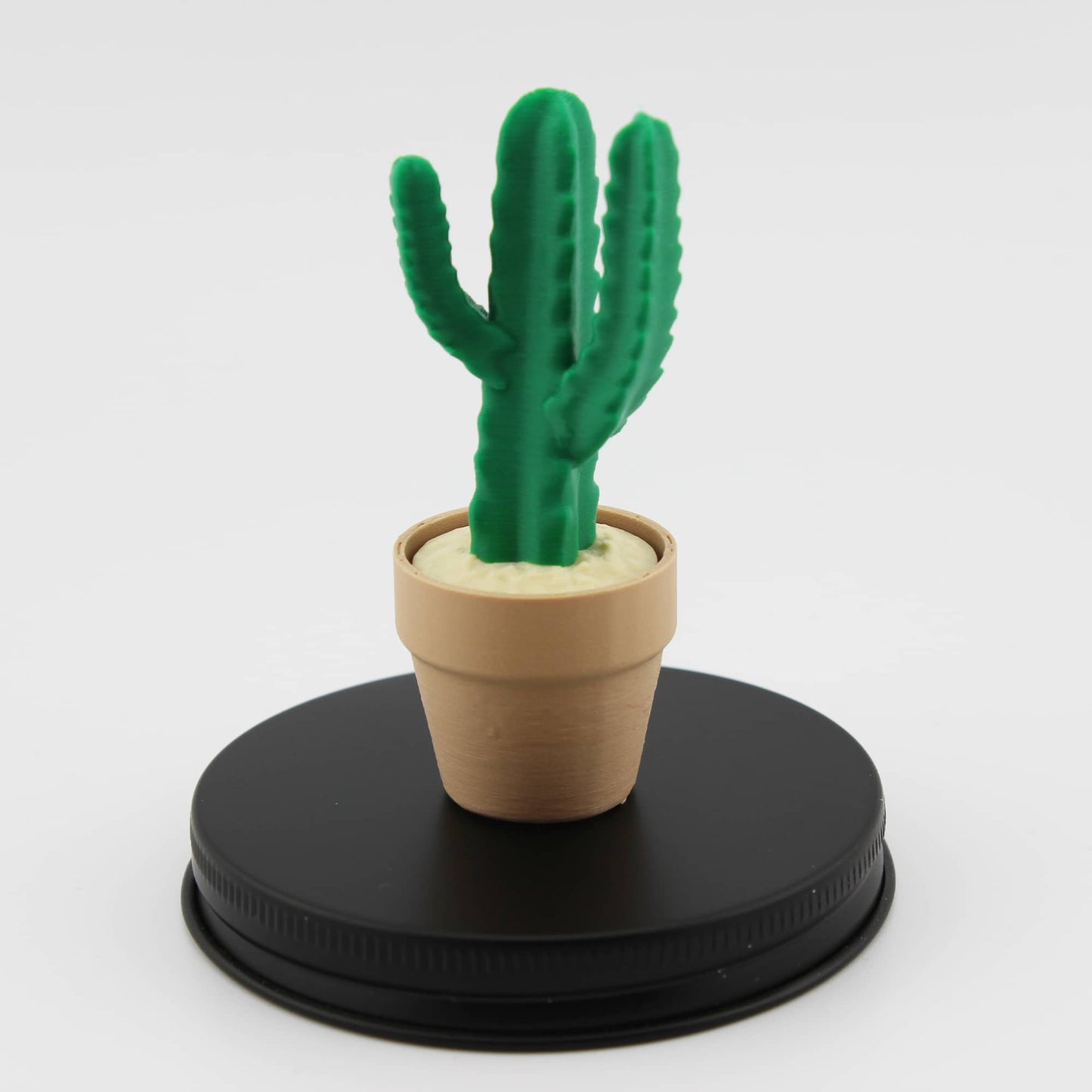 Clicky Cactus Fidget Clicker - Taschenpflanze