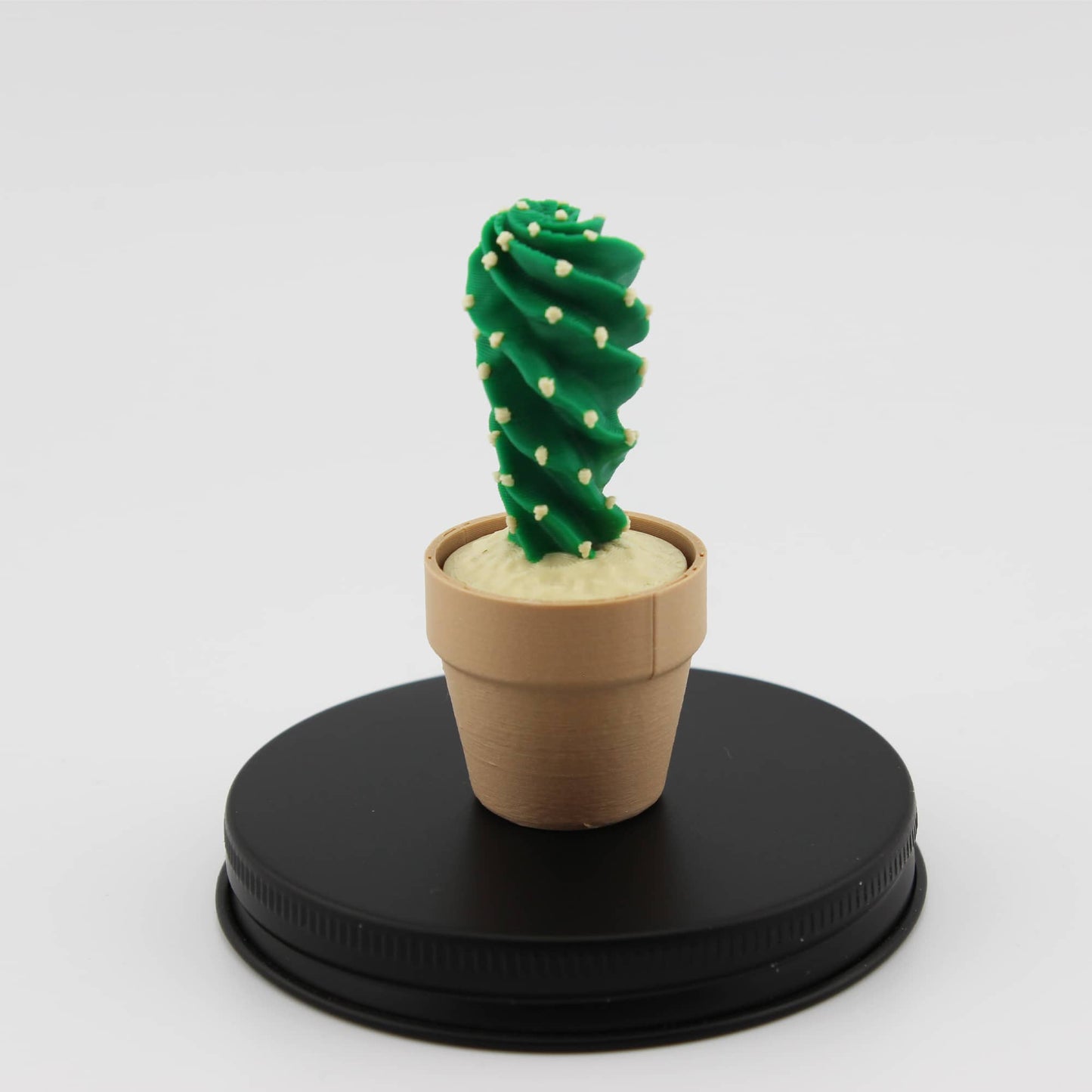 Clicky Cactus Fidget Clicker - Taschenpflanze