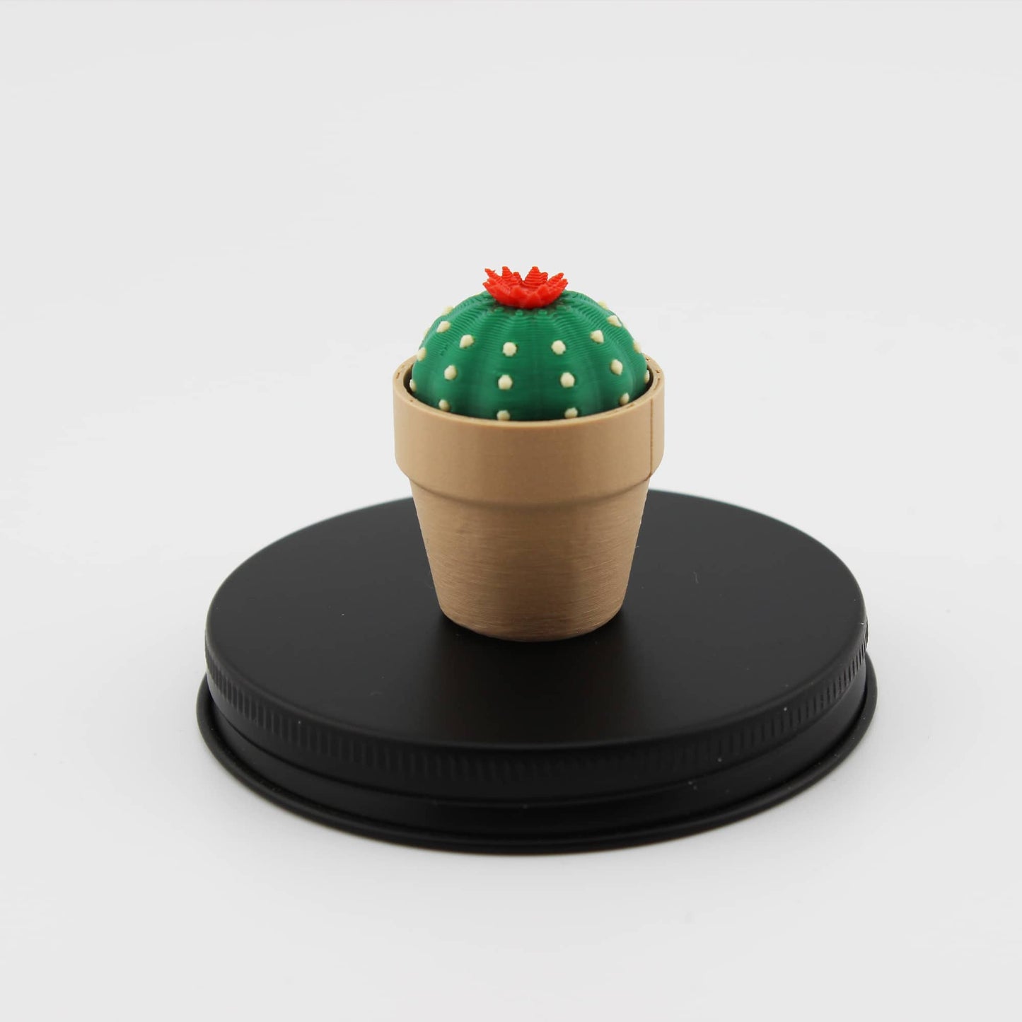 Clicky Cactus Fidget Clicker - Taschenpflanze