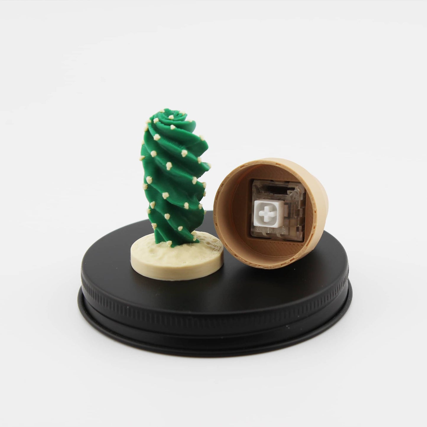 Clicky Cactus Fidget Clicker - Taschenpflanze