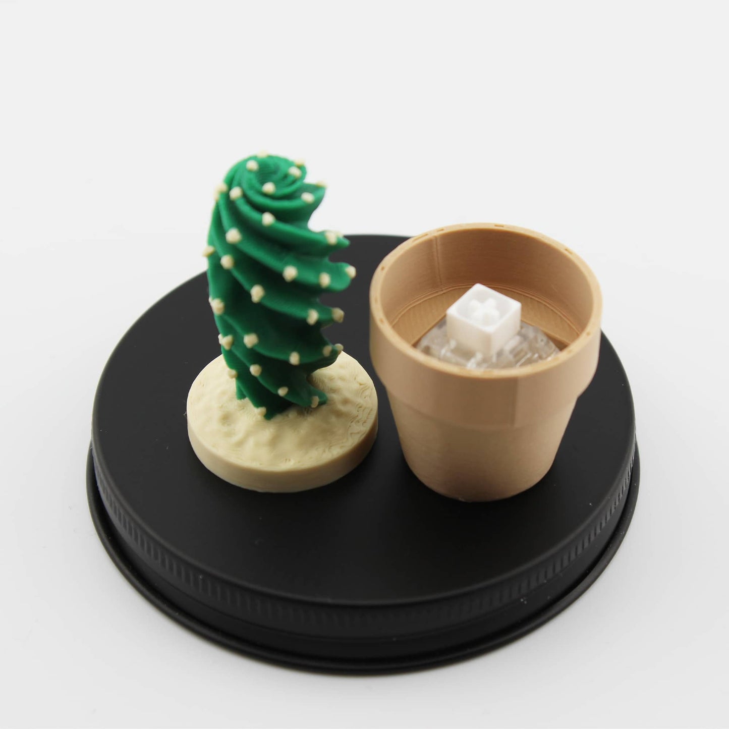 Clicky Cactus Fidget Clicker - Taschenpflanze