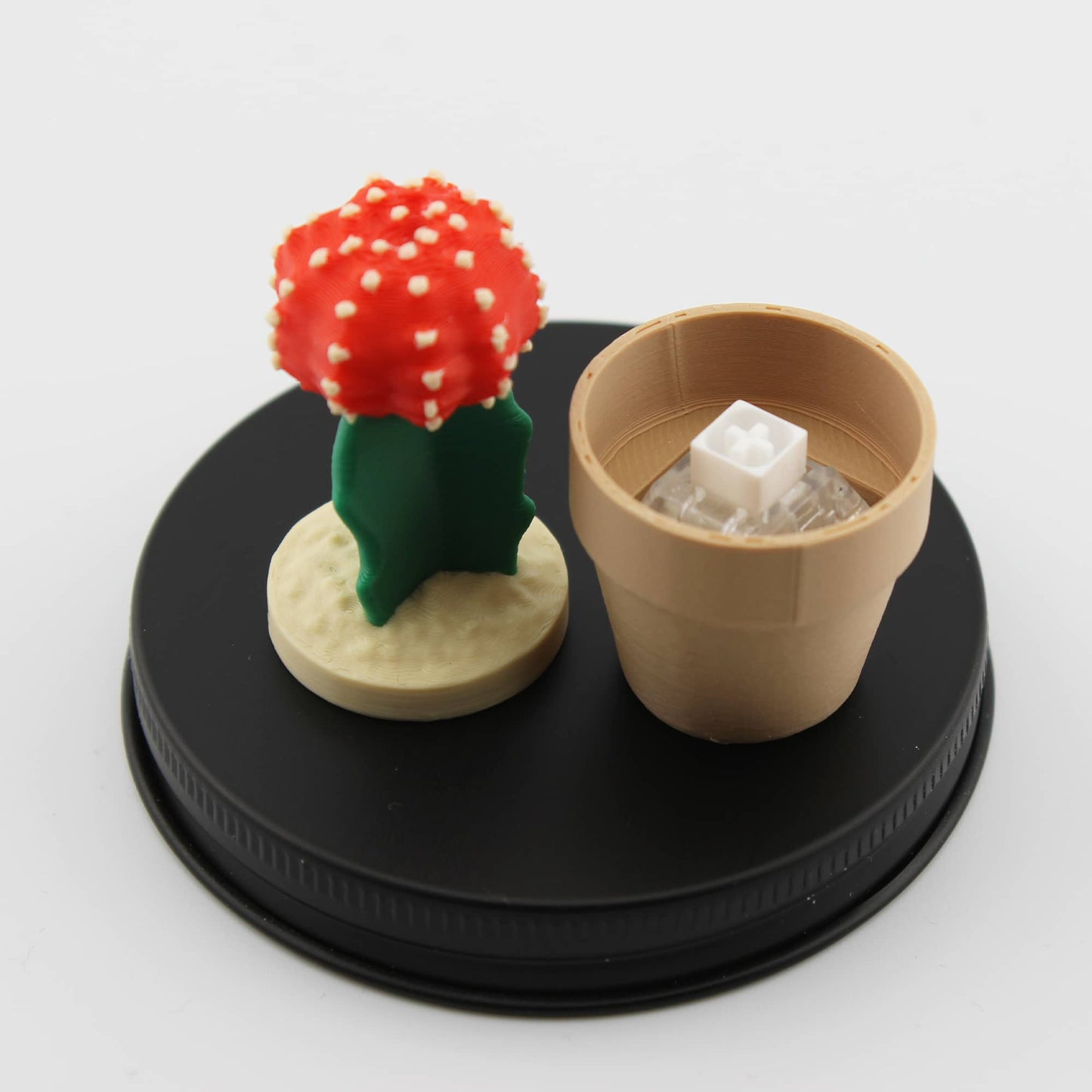 Clicky Cactus Fidget Clicker - Taschenpflanze