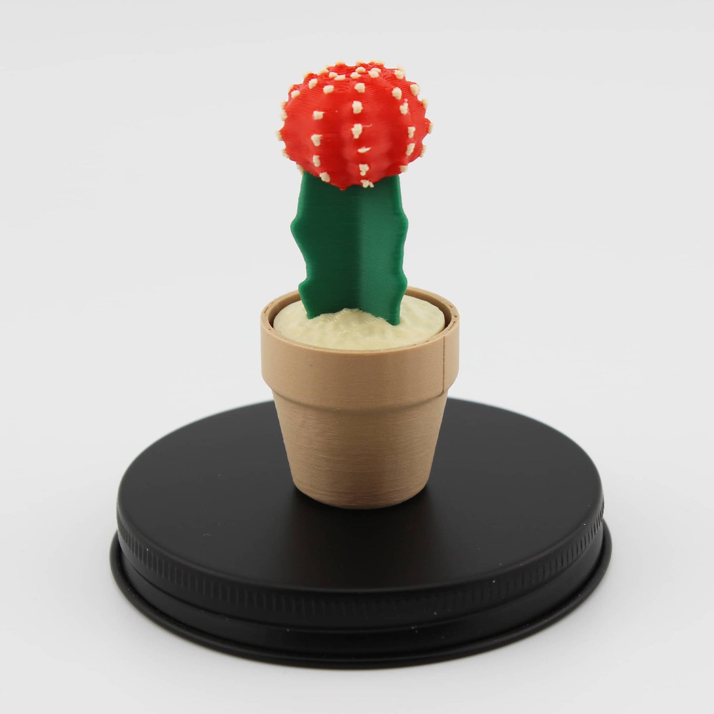 Clicky Cactus Fidget Clicker - Taschenpflanze